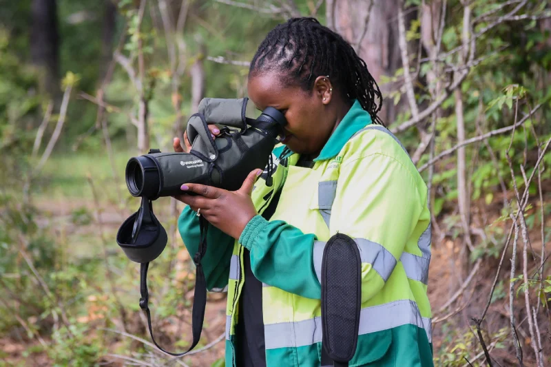 what qualifications do i need to apply for a job at bamburi