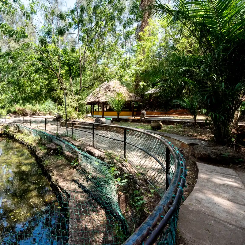 where is bamburi haller park located